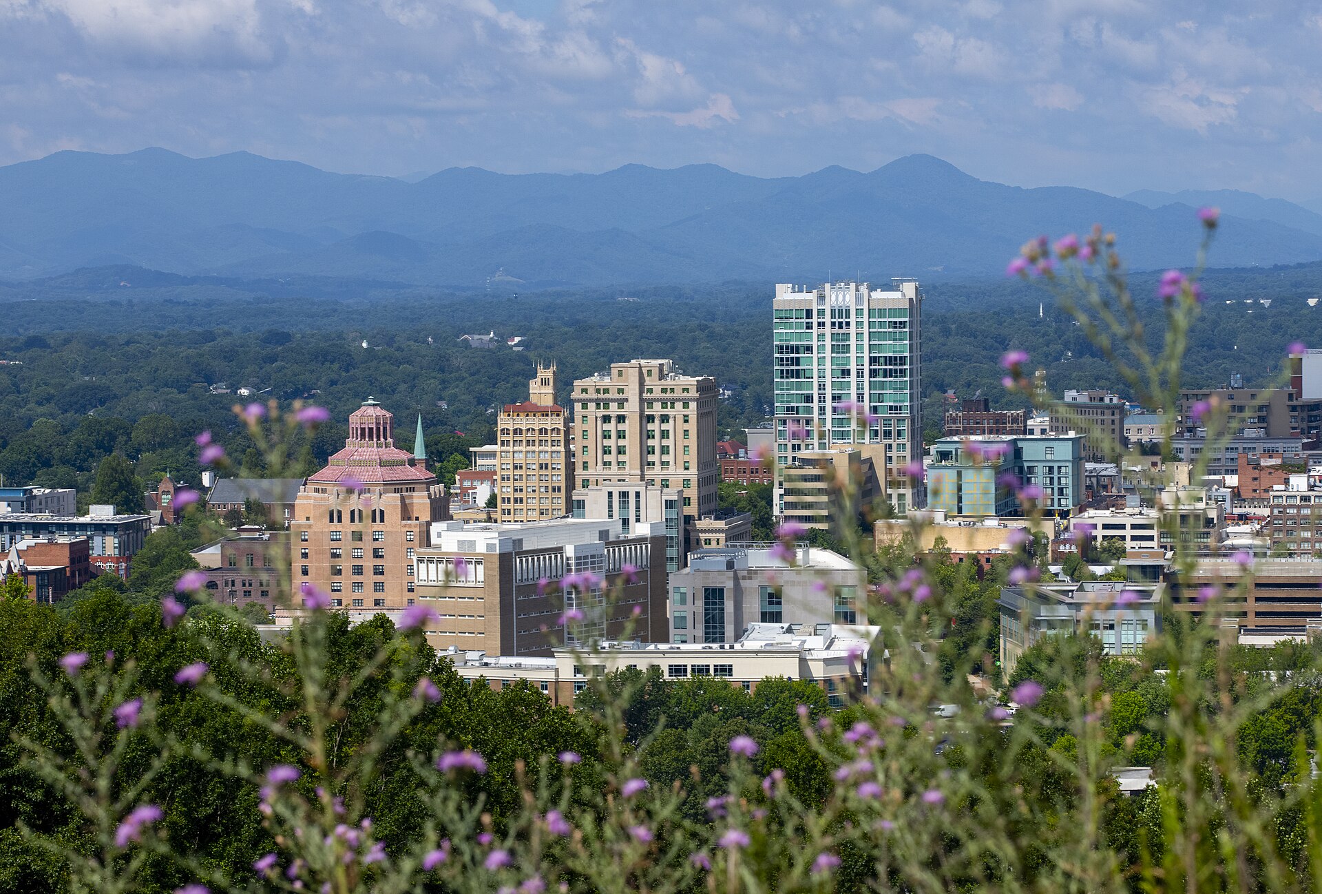 Asheville skyline and Blue Ridge mountains behind foreground flowers in North Carolina.